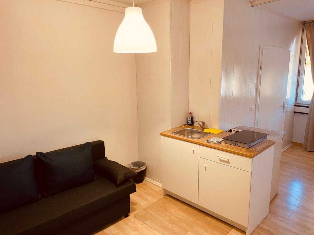 Veni Apartments Graz Esterno foto